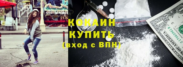 сатива Няндома